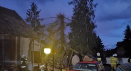 ospwiniary4
