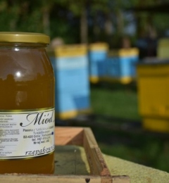 miód-pszczoły