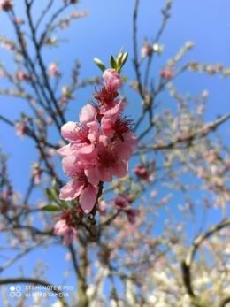 IMG_20200418_160821