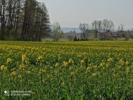 IMG_20200424_090438-Copy
