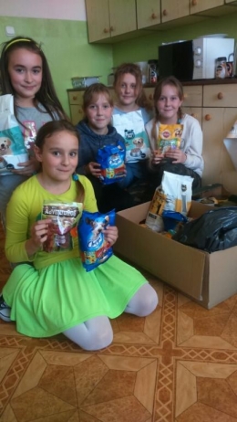 mms_img-2073890071