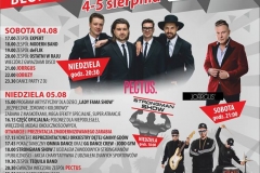 plakat śż 2018