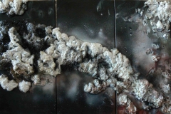 Patrycja Krzanowska „Galaktyka soli”, tryptyk 60x90 cm, technika własna