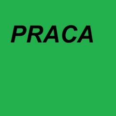 Ofert pracy, dodano 14.07.2020 r.