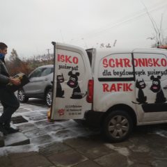 Zebrali prawie tonę karmy!