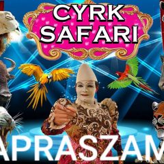 Konkurs: wygraj bilety do Cyrku Safari (przedstawienie Gdów, 25 marca)