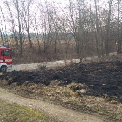 Nie wypalaj traw! Już doszło do pierwszych pożarów…
