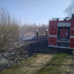 Pożary traw w Gdowie