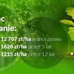 Nabór wniosków o wsparcie na zalesianie
