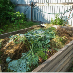 Gmina Gdów zachęca mieszkańców do współpracy w ramach przedsęwzięcia „Bioodpady komunalne posegregowane i poddane recyklingowi u źródła w Polsce”