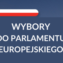Wybory do Parlamentu Europejskiego 2024 r.