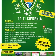 XII Turniej Wiosek w Książnicach