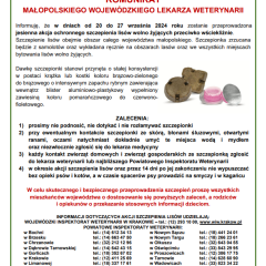 Jesienne szczepienie lisów przeciwko wściekliźnie
