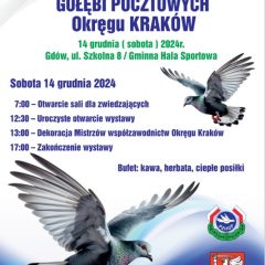 Wystawa Gołębi Pocztowych w Gminnej Hali Sportowej w Gdowie