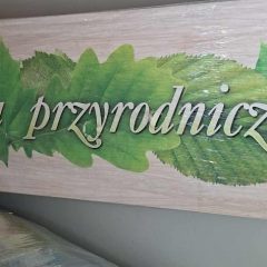 Atrakcyjna nowa przestrzeń w Pierzchowie. Pozwoli prowadzić lekcje pod chmurką. Będzie miejscem spotkań szkolnej społeczności