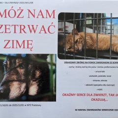 Podolany z pomocą dla zwierząt ze schroniska. Do zbiórki może przyłączyć się każdy