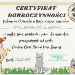 Certyfikat dobroczynności dla podstawówki w Niegowici. Szkolna społeczność wsparła bezdomne zwierzaki