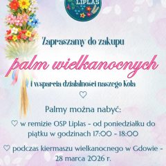 Palmy od KGW Liplas