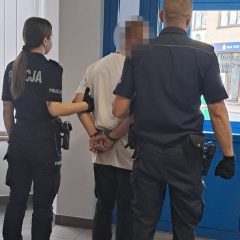 Nietrzeźwy kierowca audi wjechał do rowu w Winiarach. Trafił na 3 miesiące do aresztu