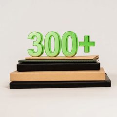 Ruszył nabór wniosków o 300 plus