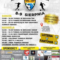 XIV Turniej wiosek już w najbliższy weekend. Sportowe emocje i atrakcje dla całych rodzin w Książnicach
