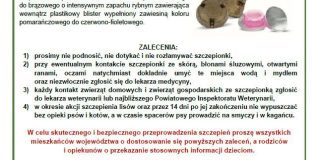 Ochronne szczepienie lisów przeciwko wściekliźnie